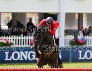 PHILIPPAERTS L DENVER LaBaule2013- S5 6011 : 2013, DENVER, La Baule, PHILIPPAERTS LUDO, foto di Stefano Secchi ©